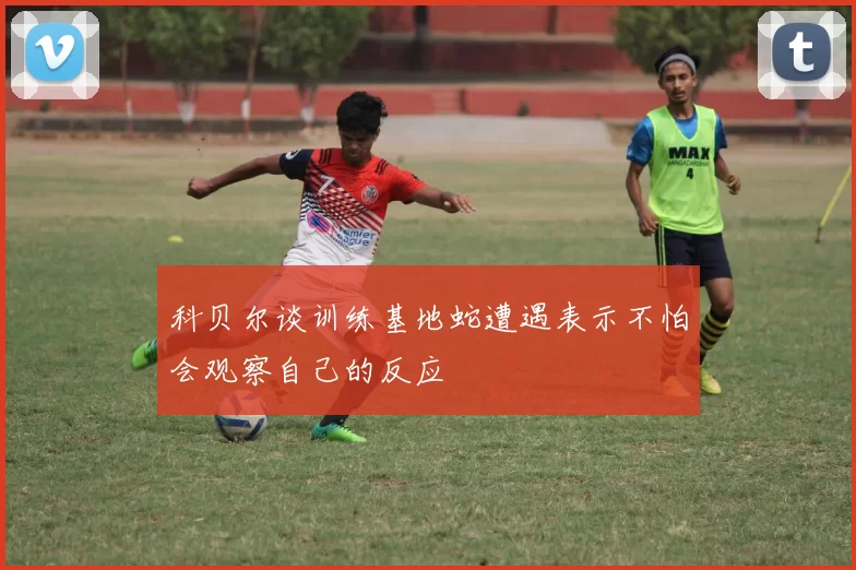 科贝尔谈训练基地蛇遭遇表示不怕会观察自己的反应