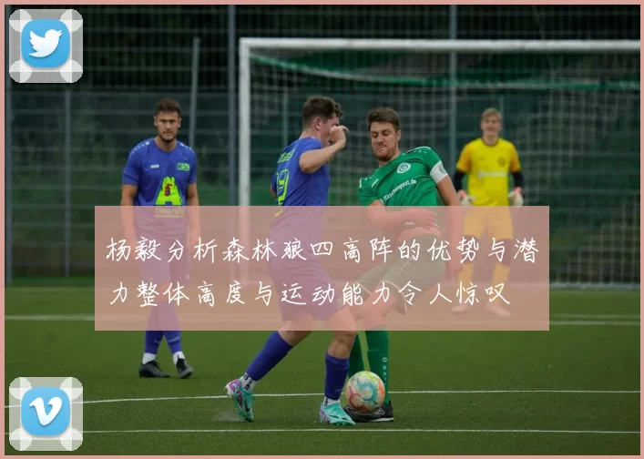 杨毅分析森林狼四高阵的优势与潜力整体高度与运动能力令人惊叹